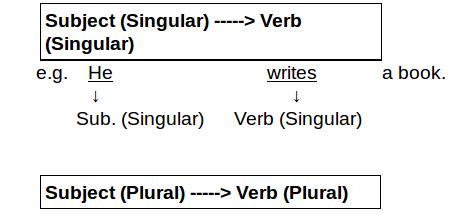 verb agreement