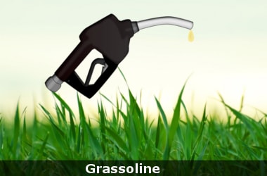 Grassoline, world