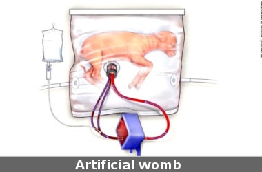 Scientists create first artificial womb