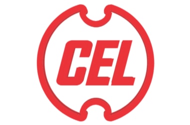 100% strategic sale of CEL approved