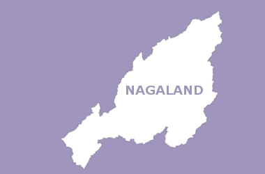 Nagaland to submit memo to PM for exemption under Part IXA of Indian Constitution