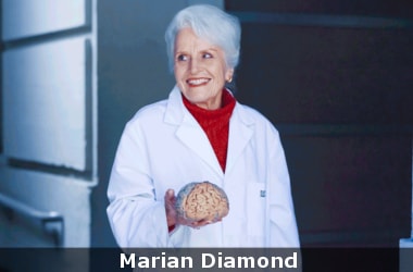Famous neuroscientist who demonstrated brain plasticity, Marian Diamond, dies
