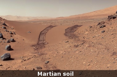 Researchers find Martian soil toxic for life!