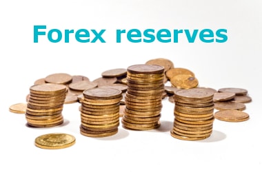 Forex reserves touch lifetime high in June 2017