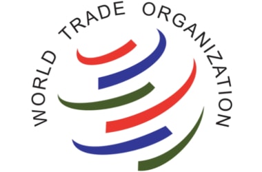 India moves WTO against the US