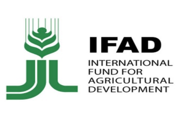 UN IFAD releases report "One Family At a Time"