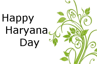 51st Haryana Day Observed