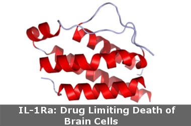 IL-1Ra: Drug Limiting Death of Brain Cells