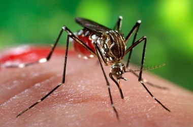First case of Zika virus detected in Myanmar.