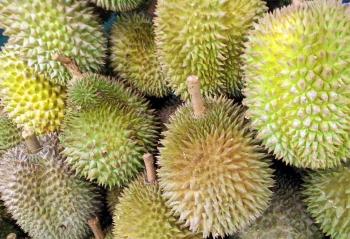 Scientists uncover DNA blueprint of common Durian