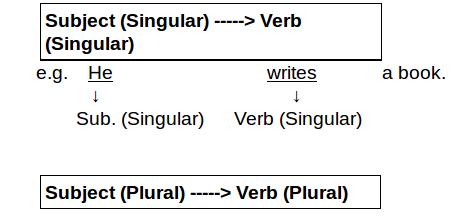 verb agreement two