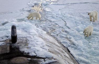 Now, scientists find plastic chunks in North Pole sea ice!