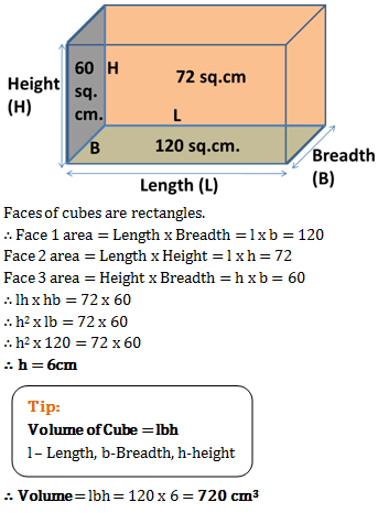 volume and surface area