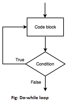Do while loop