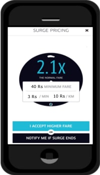 Surge Pricing