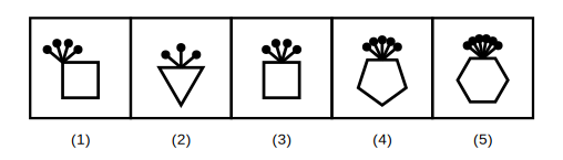 five polygons each topped with a cluster of pins, with as many pins as the polygon has sides, four with the pins growing from the middle of a side and one with the pins growing from a corner