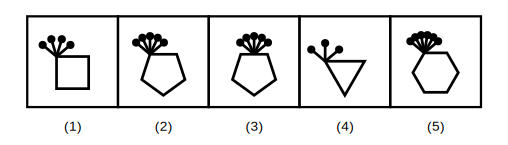 five polygons each topped with a cluster of pins, with as many pins as the polygon has sides, four with the pins growing from a corner and one with the pins growing from the middle of a side