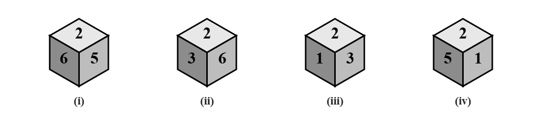 four positions of a dice, each with 2 on top: (i) 6 on the left face and 5 on the right face, (ii) 3 and 6, (iii) 1 and 3, (iv) 5 and 1