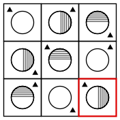 solution figure showing the figure matrix completed for figure matrix question 4