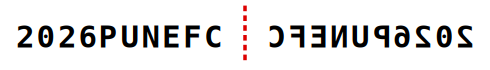 solution figure showing the original and its mirror image on either side of the mirror line for mirror images question 28