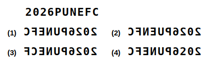 a combination of letters and numbers followed by four candidate mirror images numbered 1 to 4, mirror images question 28