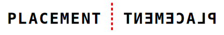 solution figure showing the original and its mirror image on either side of the mirror line for mirror images question 31
