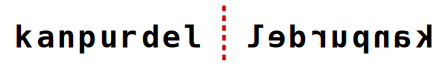 solution figure showing the original and its mirror image on either side of the mirror line for mirror images question 32