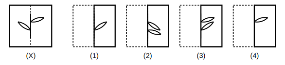 transparent sheet X with a pattern and a dotted fold line, and four answer figures 1 to 4 for paper folding question 24