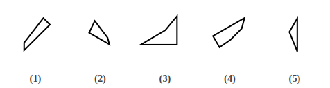 five numbered figures 1 to 5 that are pieces of a shape, shape construction question 10