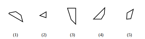 five numbered figures 1 to 5 that are pieces of a shape, shape construction question 11