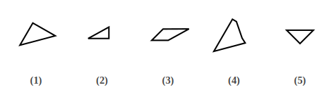 five numbered figures 1 to 5 that are pieces of a shape, shape construction question 12