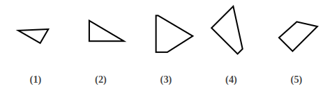 five numbered figures 1 to 5 that are pieces of a shape, shape construction question 3
