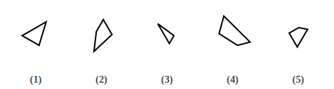 five numbered figures 1 to 5 that are pieces of a shape, shape construction question 8