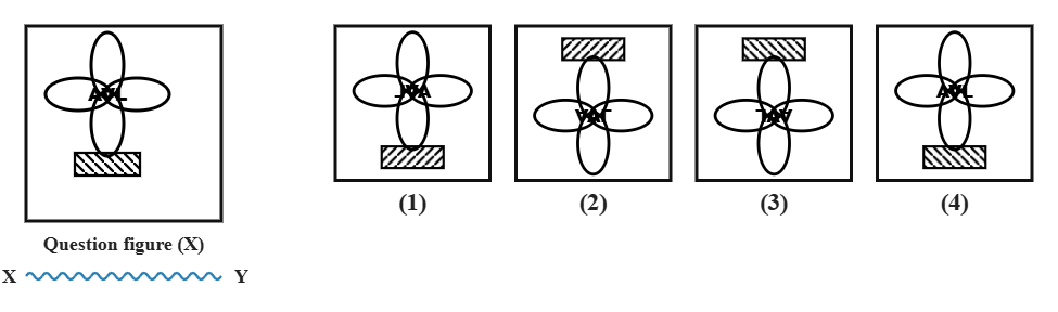 a four-petal flower with the letters AVL inside it, with a hatched rectangular bar below it, next to a wavy water line XY, with four candidate answer figures numbered 1 to 4