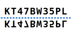 solution figure showing the original above the water line and its water image below it for water images question 21