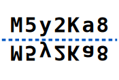 solution figure showing the original above the water line and its water image below it for water images question 26