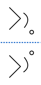 solution figure showing the original above the water line and its water image below it for water images question 33