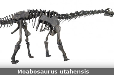 Meet Moabosaurus utahensis, a herbivore dinosaur