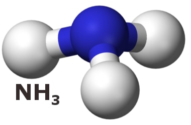 Ammonia detected in Earth