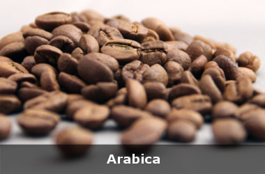 HYV varieties of Robusta and Arabica released