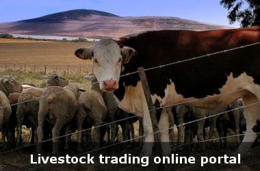 Karnataka to launch livestock trading online portal