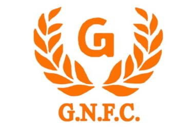GNFC Township: India