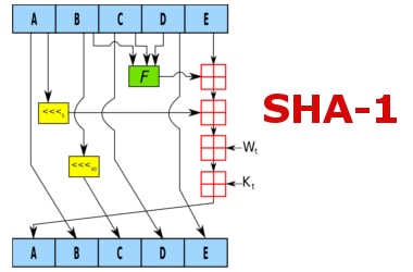 Google, Dutch partner crack SHA-1