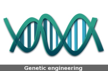 Now, genetic engineering to battle addiction!