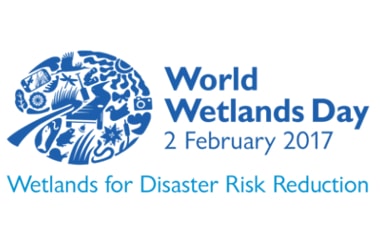 World Wetlands Day: February 2nd