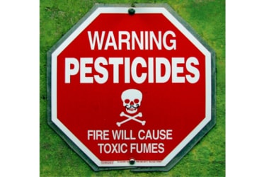 Centre to ban 18 pesticides