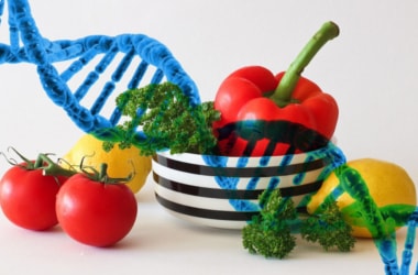 Gene-edited vegetables and crops - pros and cons