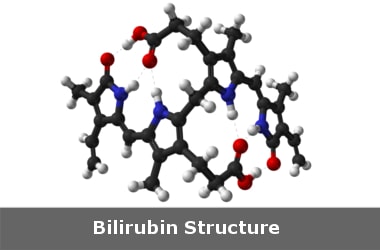 High bilirubin levels are signs for Jaundice