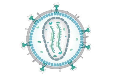 MERS, Lassa Fever and Nipah Virus threaten mankind