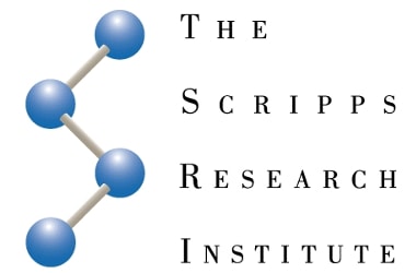 TSRI scientists create first stable semi synthetic organism